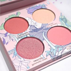 🛍️NEW in Box beautiful Blush & Highlight palette.